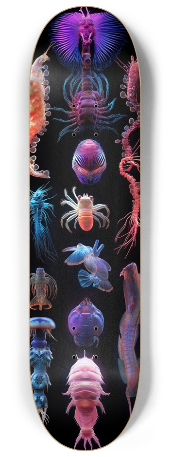 Olioplast Skateboard 8-1/4 Skateboard Deck