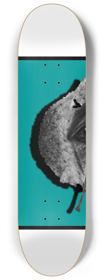 Leaf #1 8-1/4 Skateboard Deck