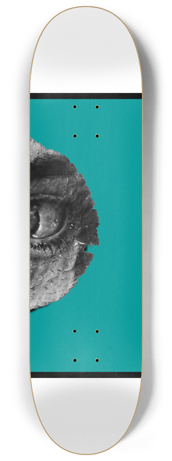 Leaf #2 8-1/4 Skateboard Deck
