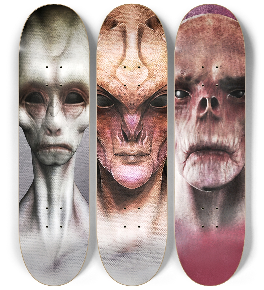 Skateboard Series Creatures 3 Deck Wall Series