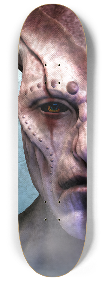 Skateboard Series #1 8-1/4 Skateboard Deck