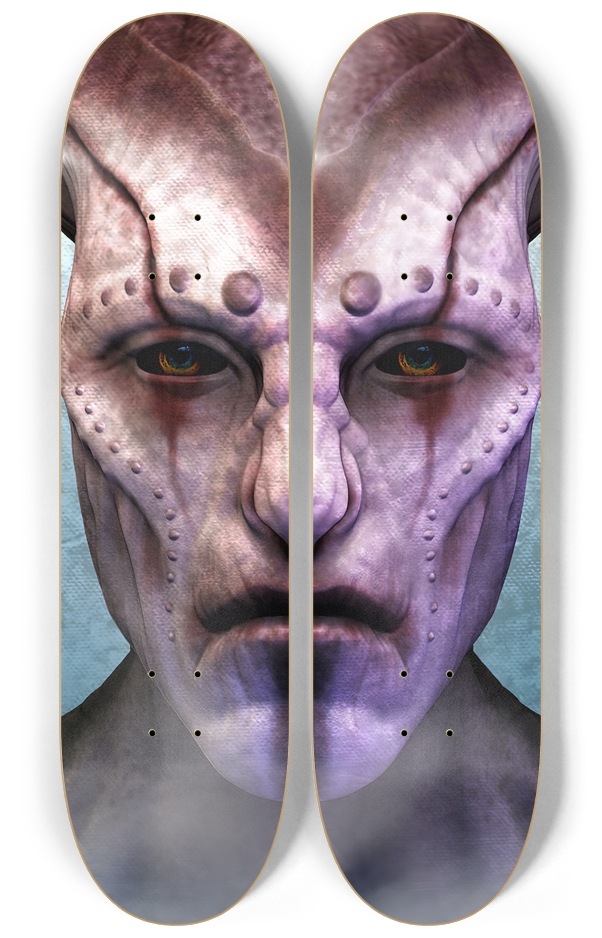 Skateboard Series 2 Deck Wall Series