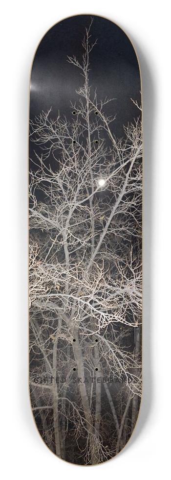 Midnight Moon n Trees