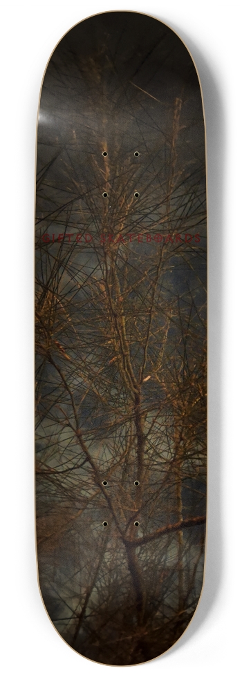TreeWeb?