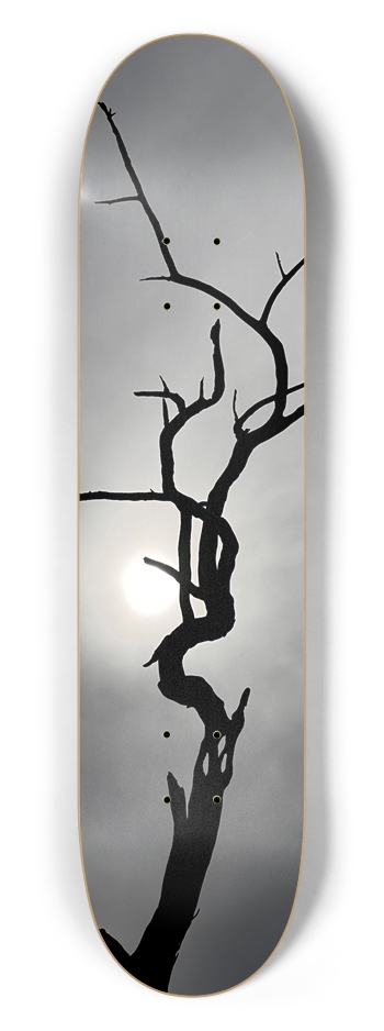 Perseverance 7-1/2 Skateboard Deck