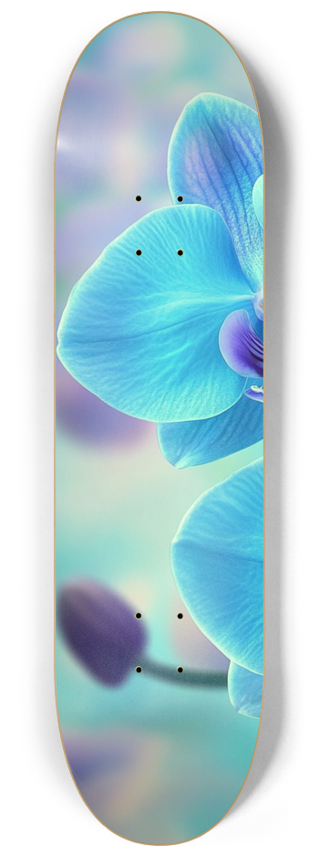 orchid flower custom Skateboard Series #1 8-1/4 Skateboard Deck