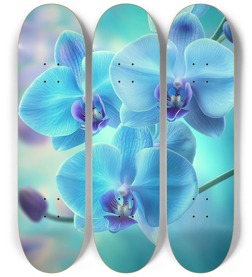 orchid flower custom Skateboard Series 3 Deck Wall Series