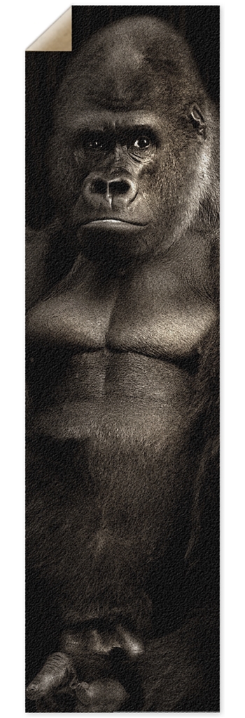 silverback Griptape 10 x 36 Inch Griptape