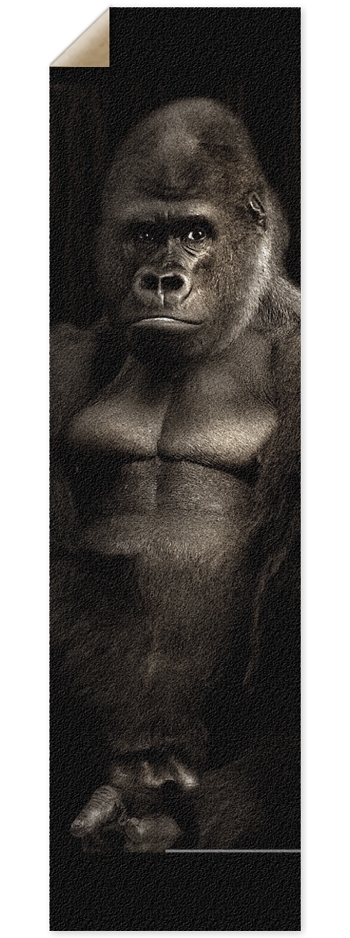 silverback Griptape 9 x 33 Inch Griptape