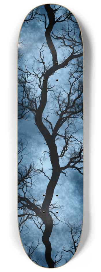 Dreamhunts 3 decks custom Skateboard Series #1 8-1/4 Skateboard Deck