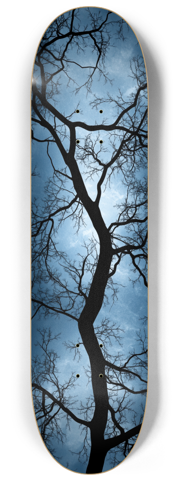 Dreamhunts 3 decks custom Skateboard Series #3 8-1/4 Skateboard Deck