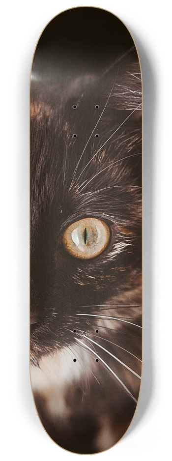 cat Skateboard 8-1/4 Skateboard Deck
