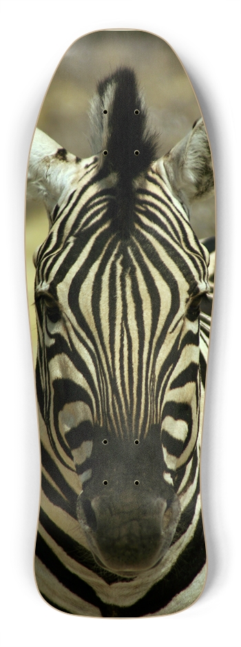 zebra Skateboard Shredder Shape