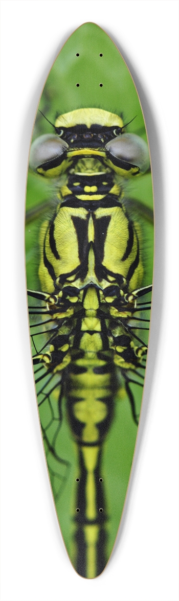 bug out Longboard Pintail Longboard