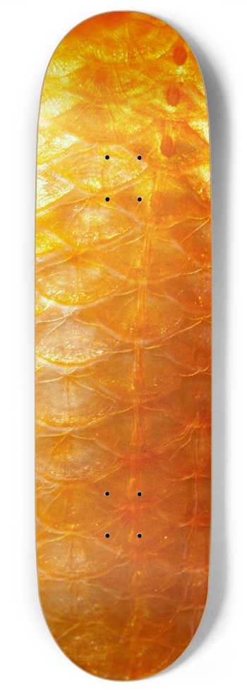 fishing 9 Inch Skateboard