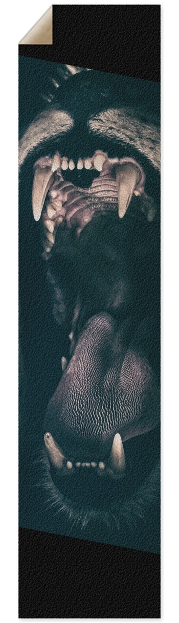 bit Griptape Griptape for Longboards