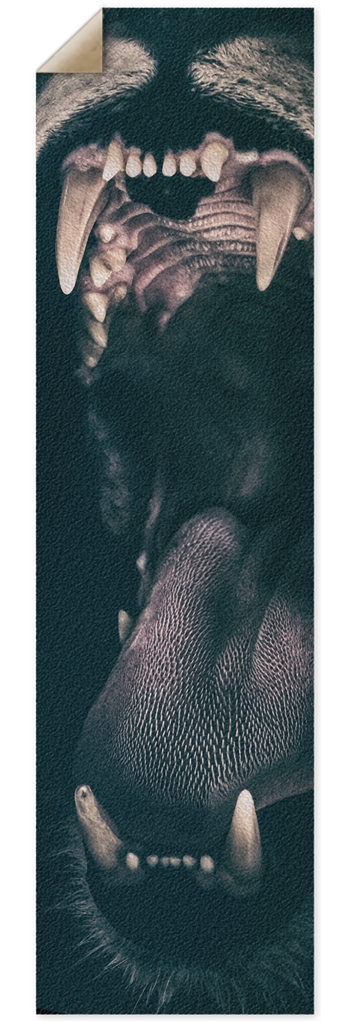 bit Griptape 10 x 36 Inch Griptape