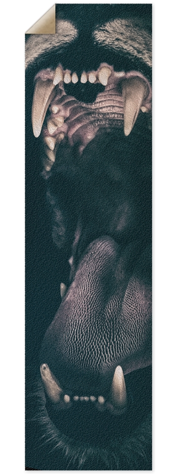 bit Griptape 9 x 33 Inch Griptape