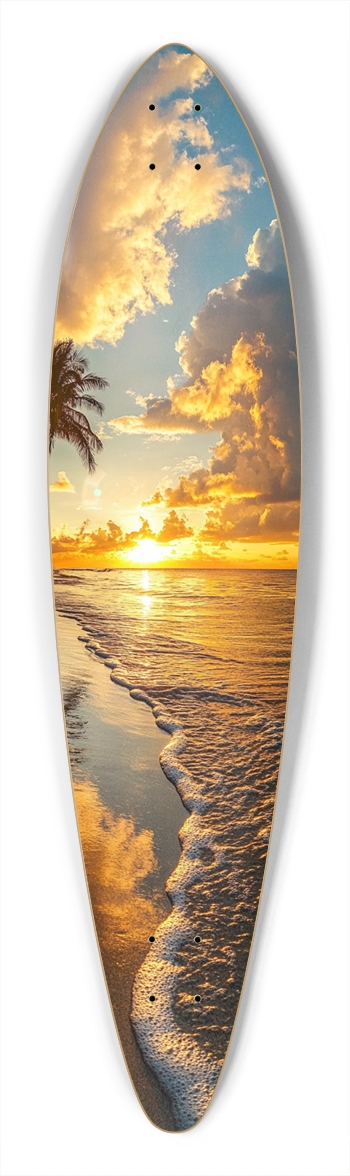 Sunset beach Custom Longboard Pintail Longboard