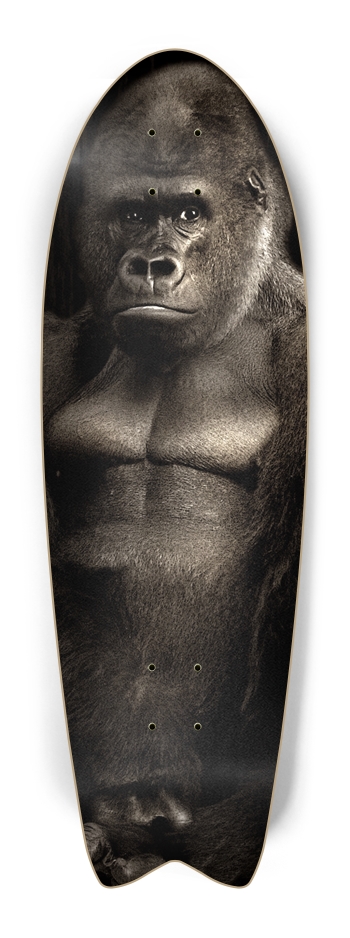 go-real-a Skateboard Fish Tail