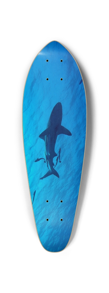 shark glow Skateboard Mini Cruiser