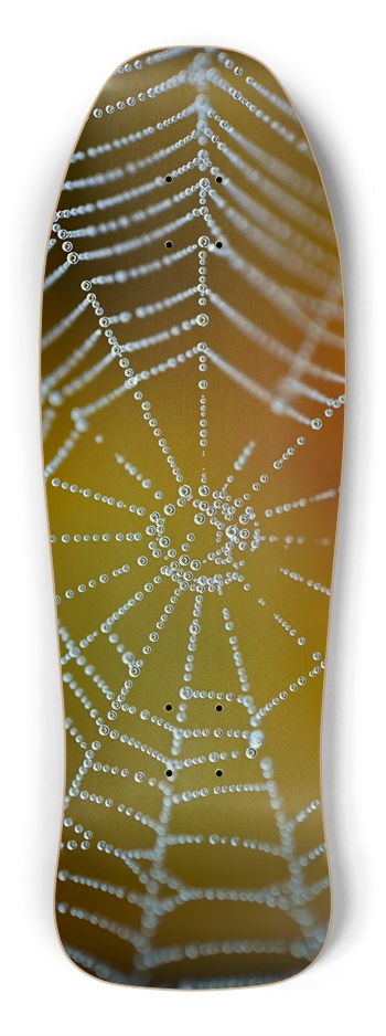 Web Skateboard Shredder Shape