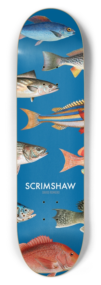 8.5 Romero Fishes 8-1/2 Skateboard Deck