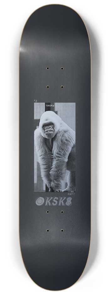 “Tundra” Deck 8-1/4 Skateboard Deck