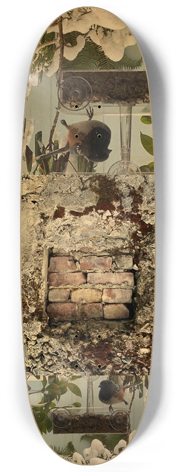 CUBBY 9.75” Egg Shape