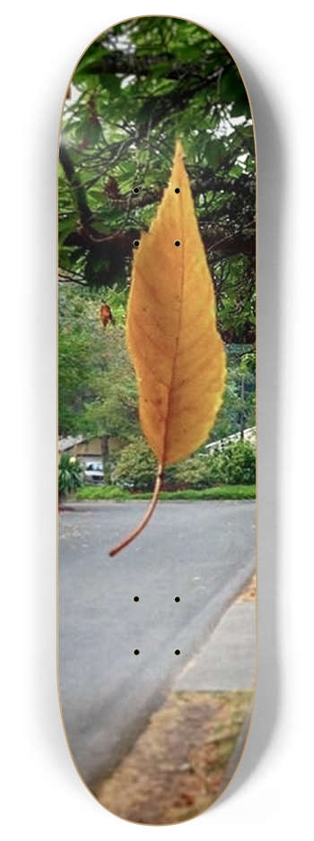SUSPENDED BELIEF 8” 8 Inch Skateboard Deck