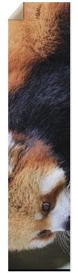 Custom Griptape