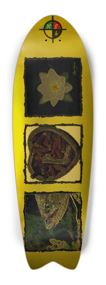 Life Cycle Fish Tail