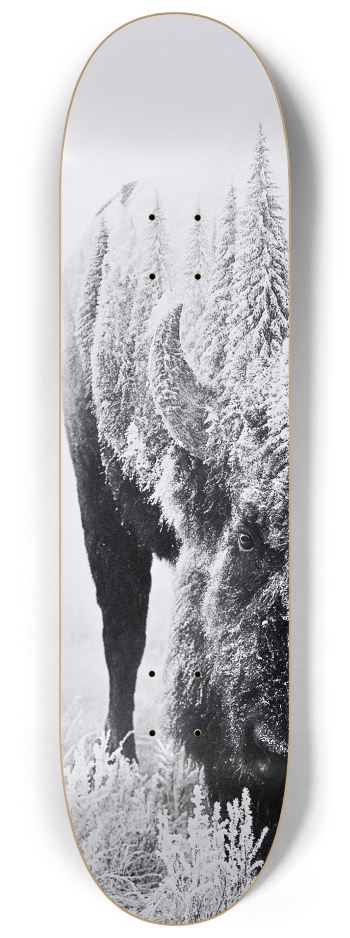 Skateboard Series #1 8-1/4 Skateboard Deck