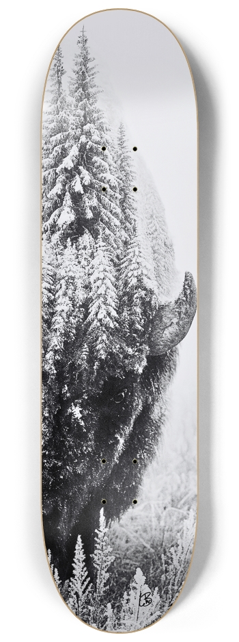 Skateboard Series #2 8-1/4 Skateboard Deck