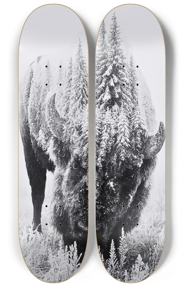 Skateboard Series 2 Deck Wall Series