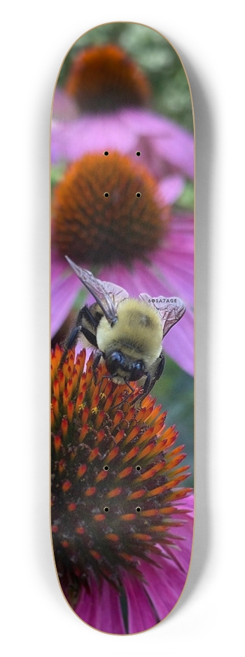 Leave Me Bee