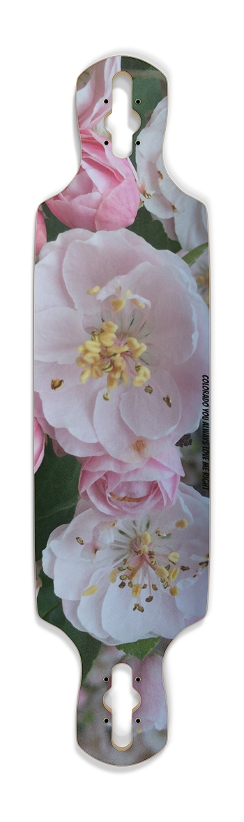 Aurora in Bloom Drop Through Longboard