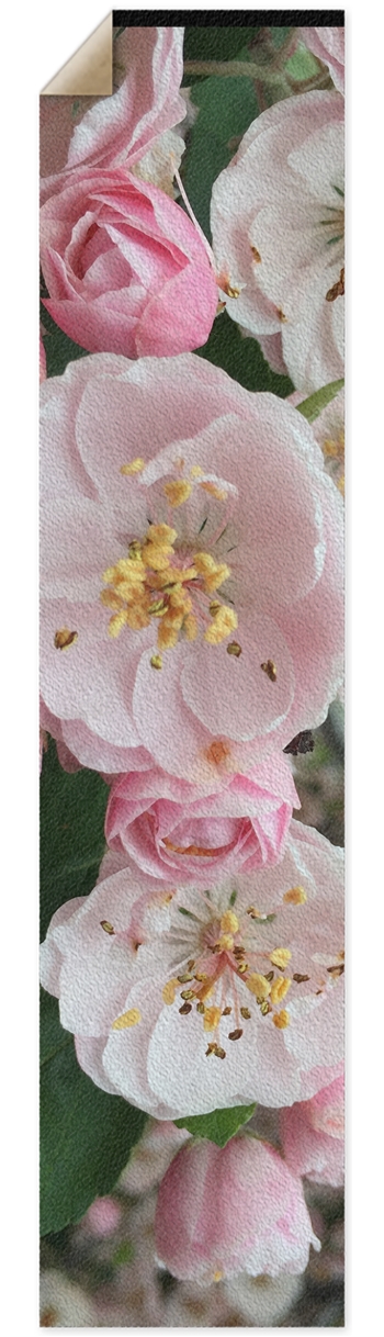 Aurora in Bloom Griptape for Longboards