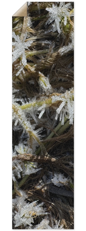 Ice Cold 4 9 x 33 Inch Griptape