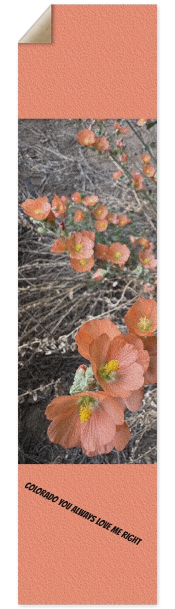 Colorado Wildflowers 1 Griptape for Longboards
