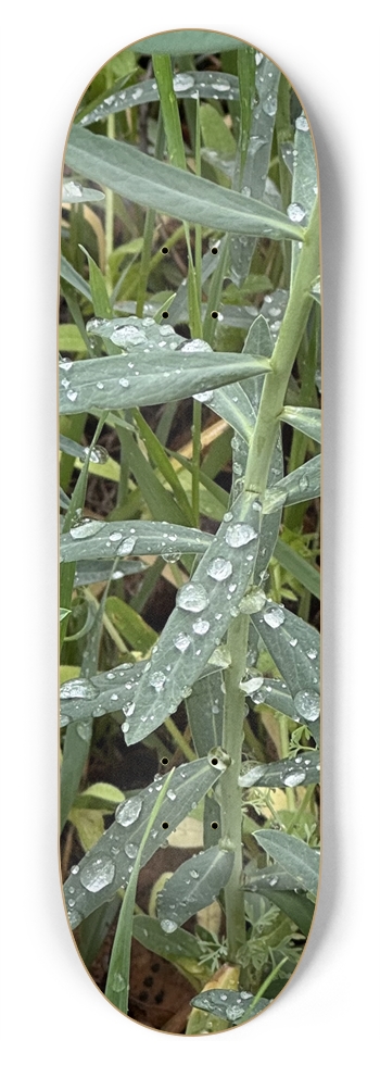 So Fresh 8-3/4 Inch Skateboard