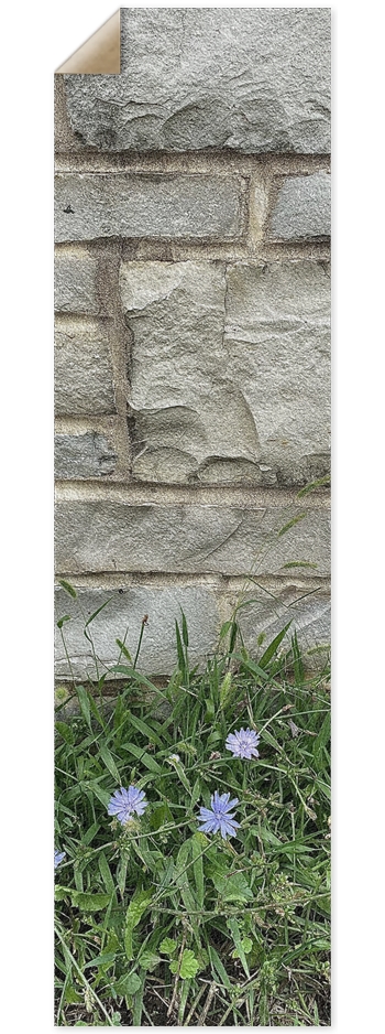 TOSA BRIDGE 9” grip tape 9 x 33 Inch Griptape