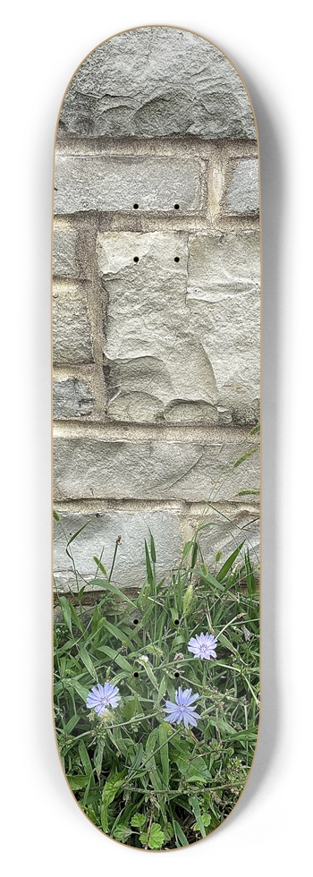 Tosa Bridge 8-1/2 Skateboard Deck