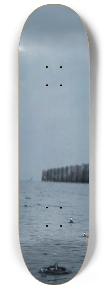 Harbor Series #3