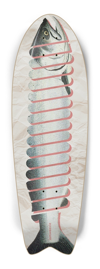 Springer Salmon  Fish Tail