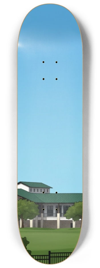 Neighbor Hood Watch Skateboard Series #1 8-1/4 Skateboard Deck