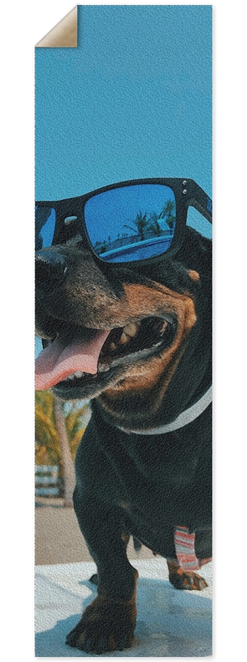 Cool Pup 9 x 33 Inch Griptape