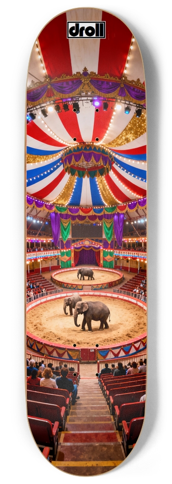 Circus