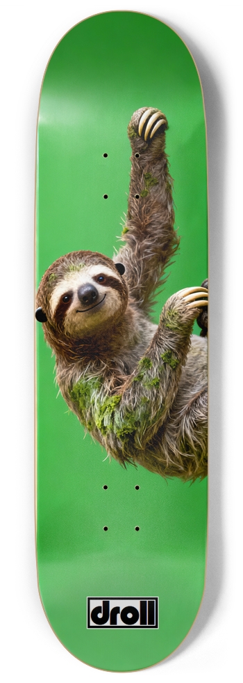 Three Toed Sloth on Kelly Green