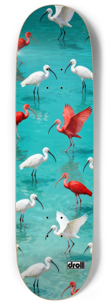 Ibis